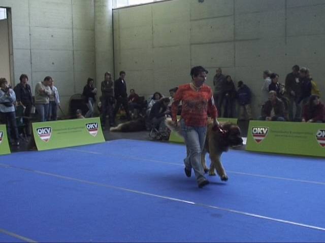 Salzburg Clubschau Mai 06 059 